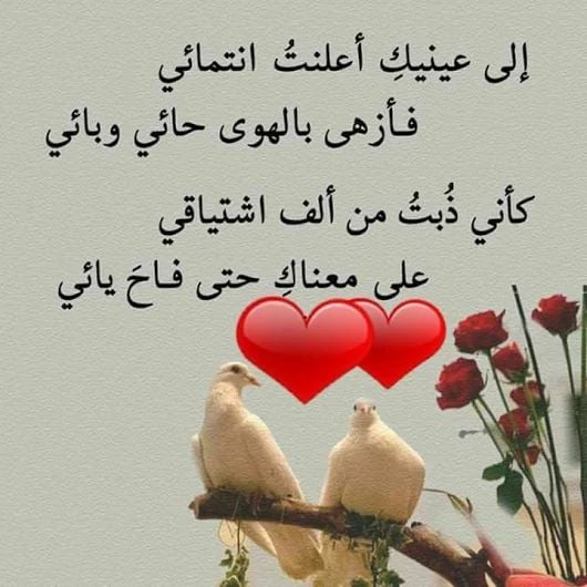 ابيات شعرية عن الحبيبة