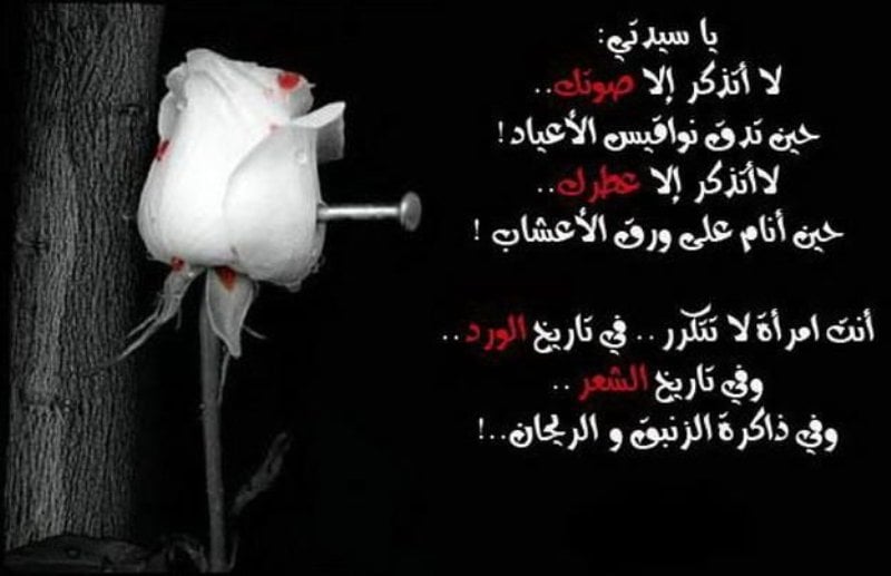 ابيات شعرية عن المراة