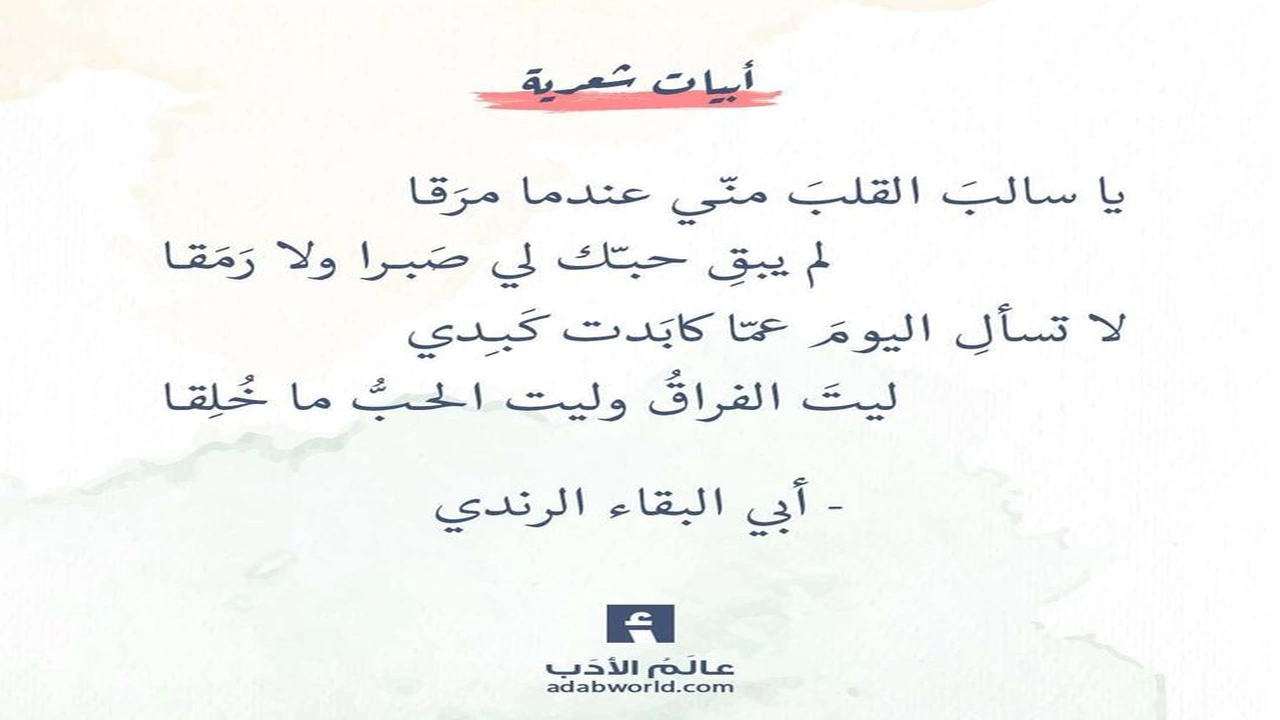 صورة اجمل ابيات شعر عن الحب