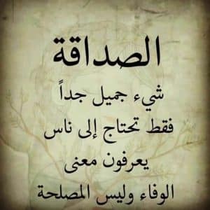 اجمل ابيات شعر عن الصداقة