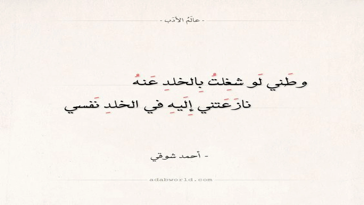 صورة اجمل ابيات شعر عن الوطن