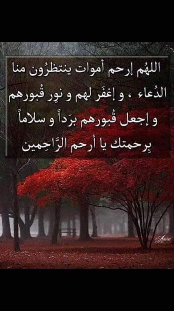 اجمل ادعية للميت