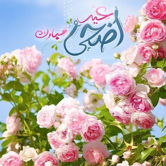 اجمل تهنئة عيد الأضحى