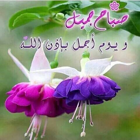 اجمل دعاء الصباح مع الصور