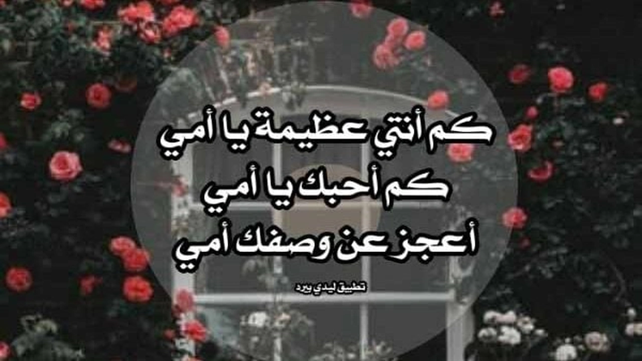 صورة اجمل رسالة حب لامي