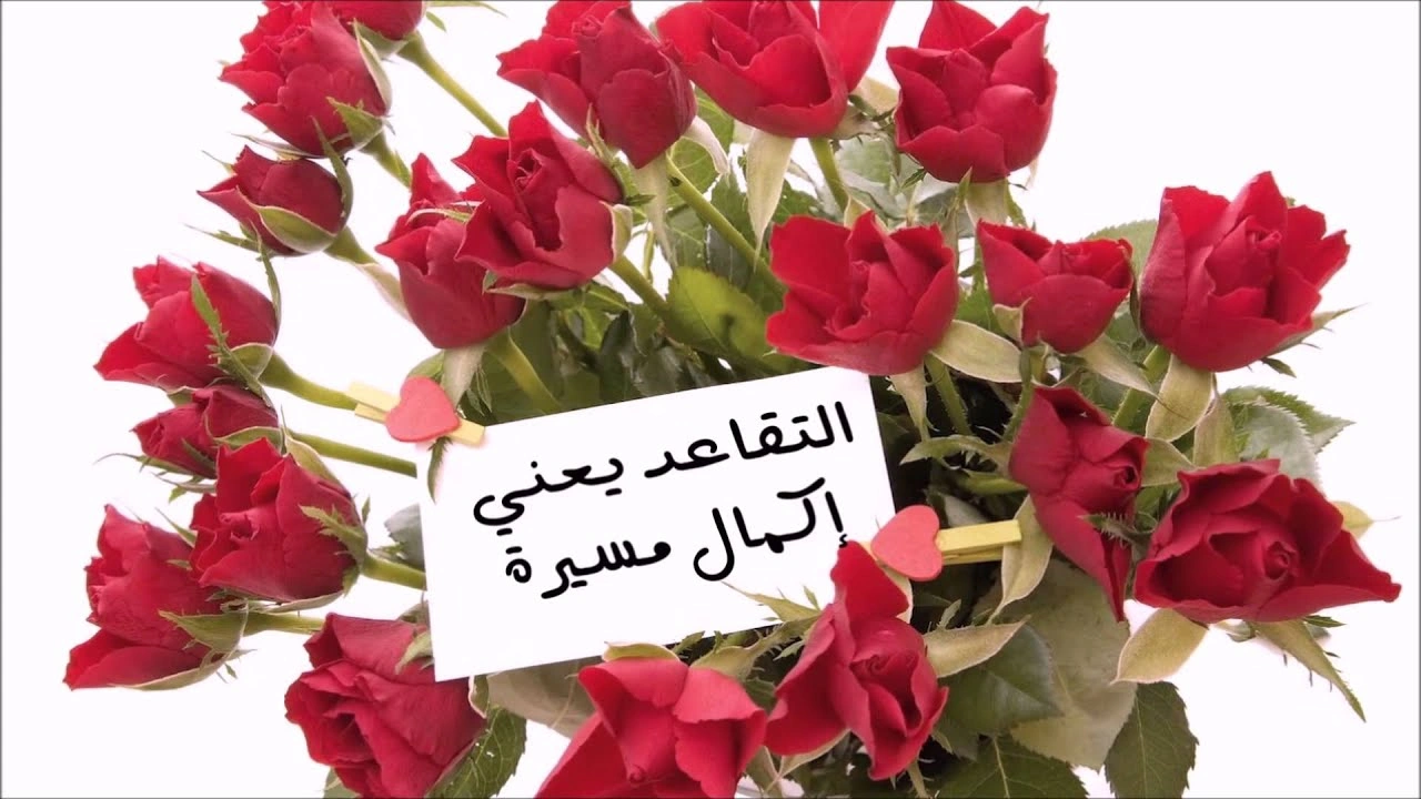 صورة اجمل ما قيل عن التقاعد