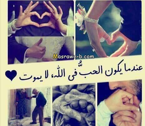اجمل ما قيل عن الحب الحلال