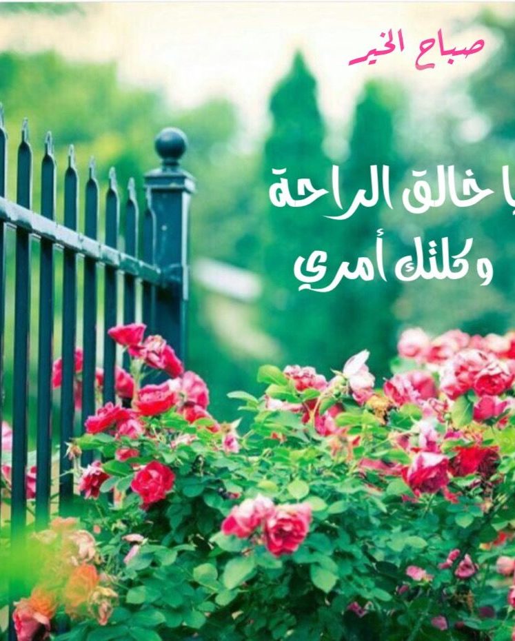 اجمل ما قيل عن الصباح
