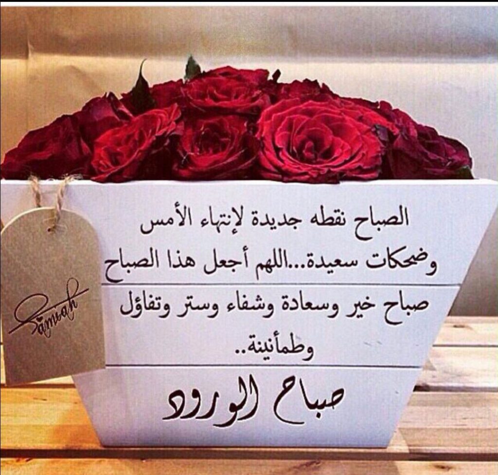 اجمل ما قيل عن الصباح