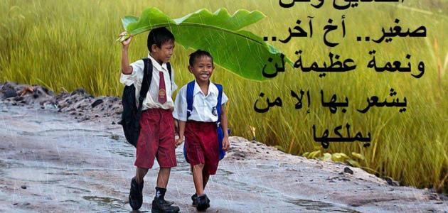 اجمل ما قيل عن الصداقة