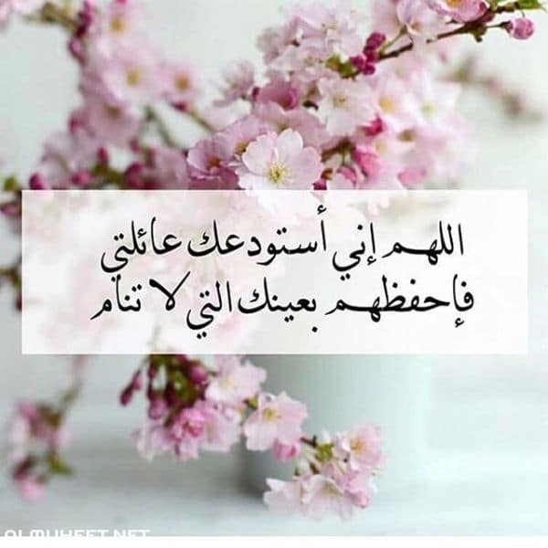 اجمل ما قيل عن العائلة