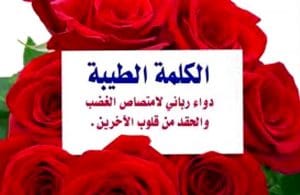 اجمل ما قيل عن الكلمة الطيبة
