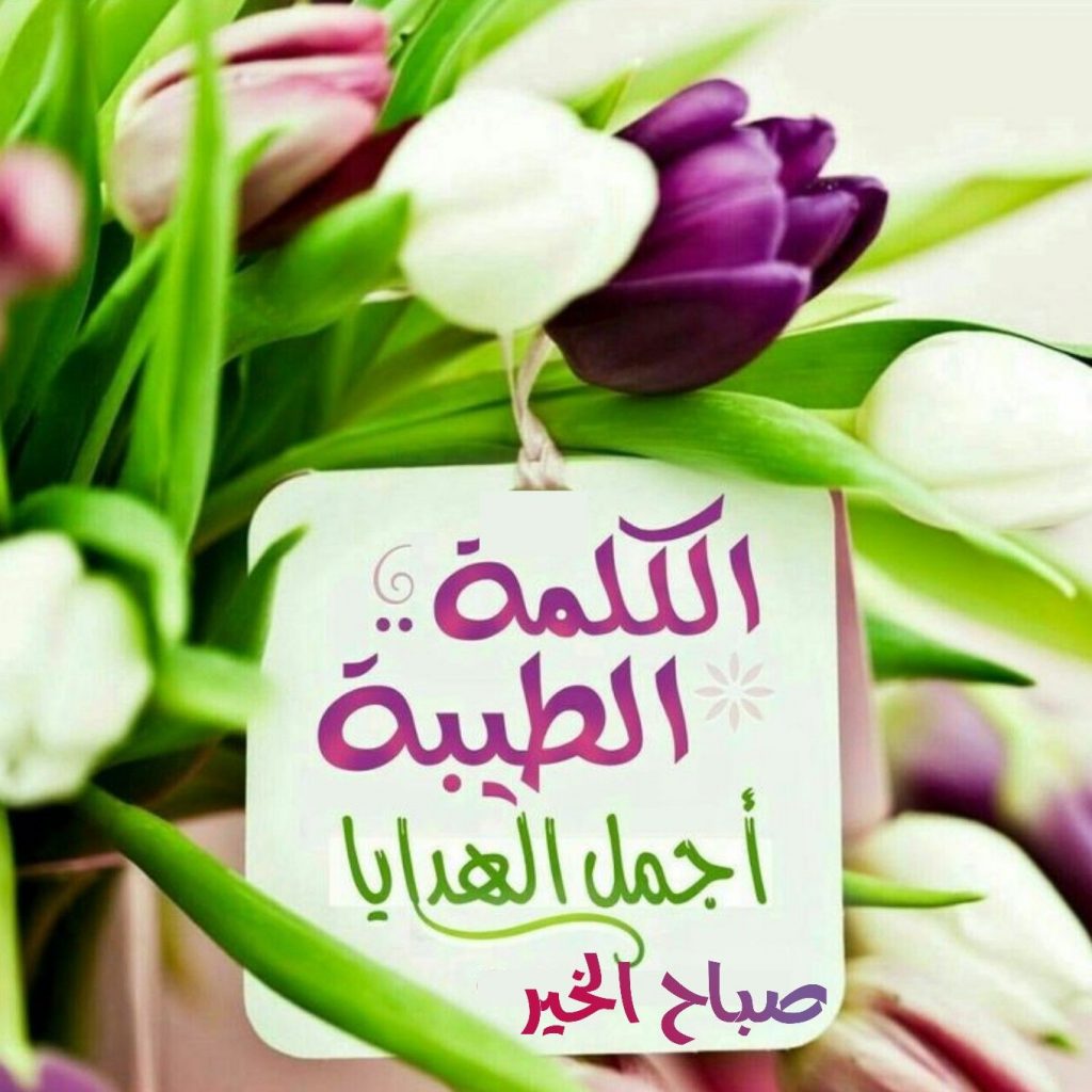 اجمل ما قيل عن الكلمة الطيبة