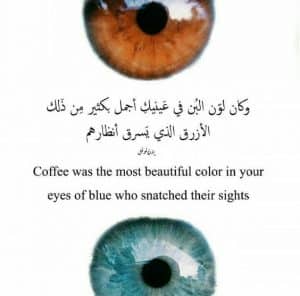 اجمل ما قيل في العيون
