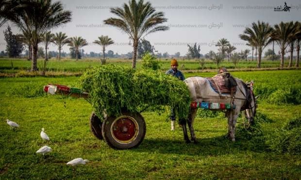 اجمل مناظر طبيعية في مصر