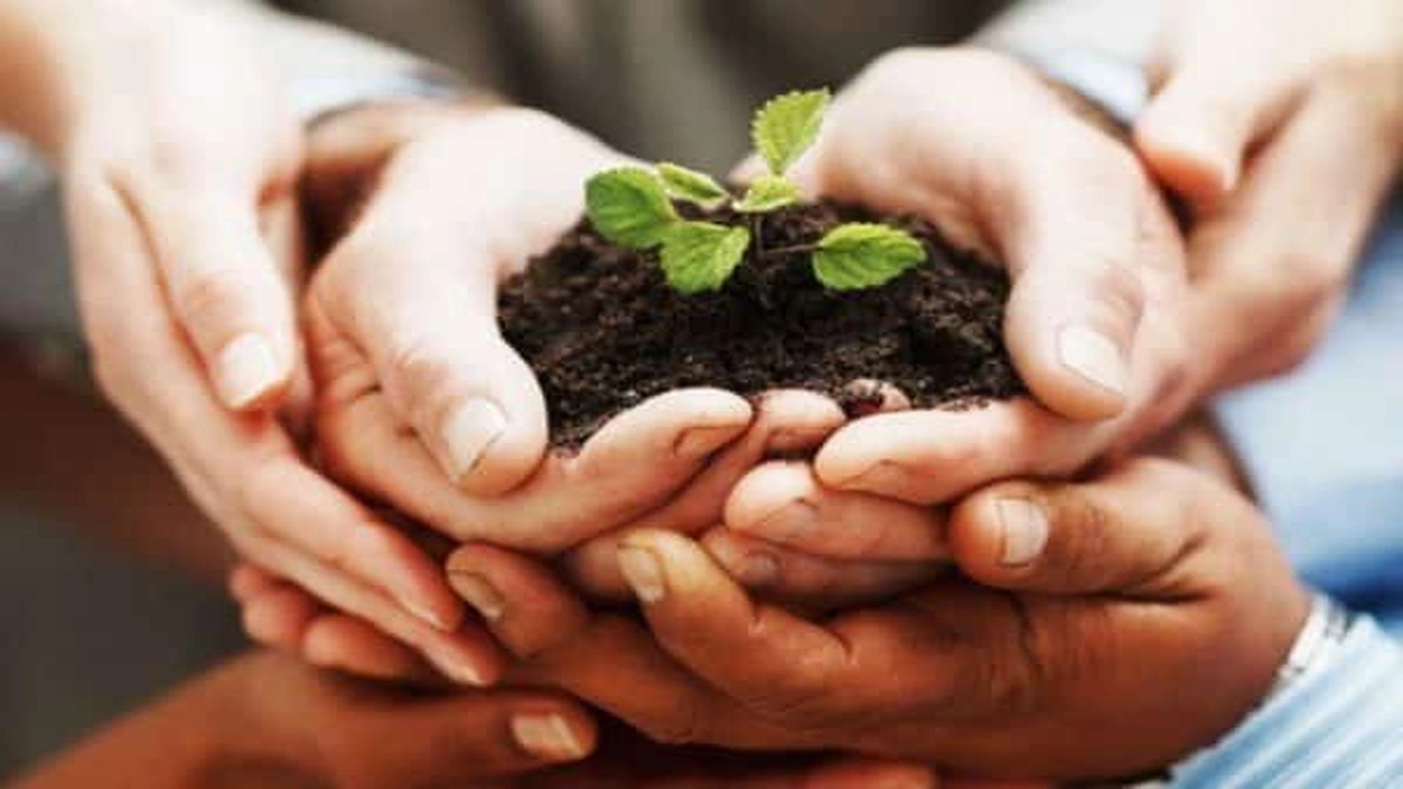 صورة ارقام الجمعيات الخيرية في الامارات