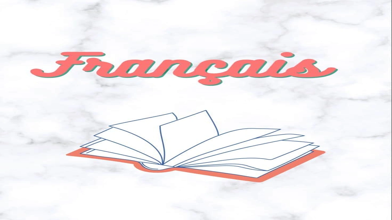 صورة اسماء الاشارة بالفرنسية