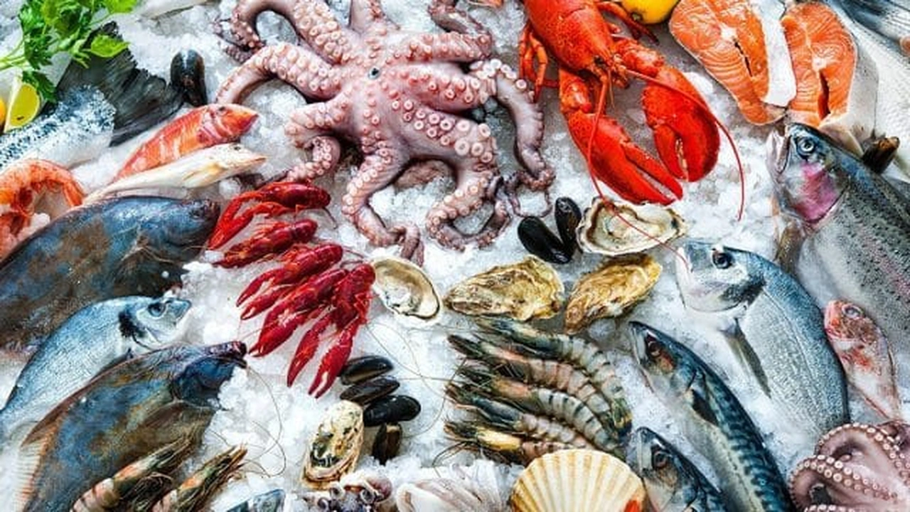 صورة اسماء السمك في السعودية