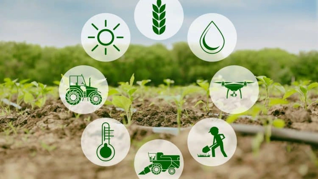 صورة اسماء الشركات الزراعية في قطر