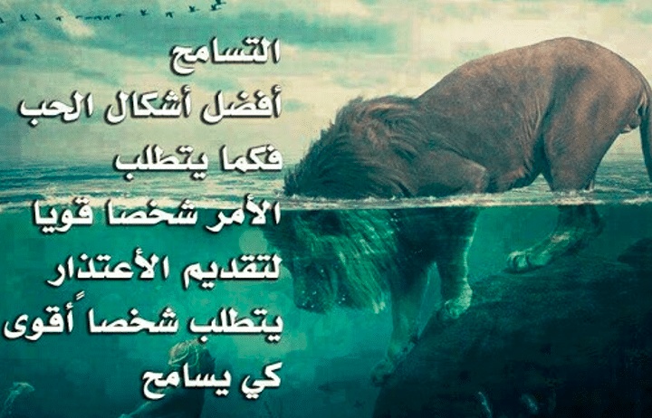 اشعار عن التسامح