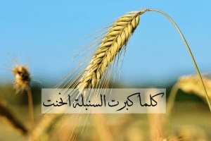 اشعار عن التواضع