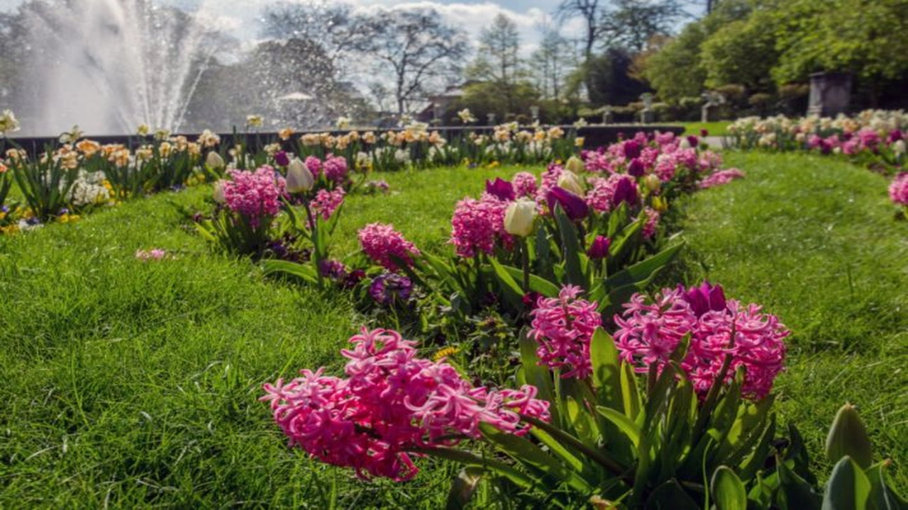 صورة اشعار عن الربيع