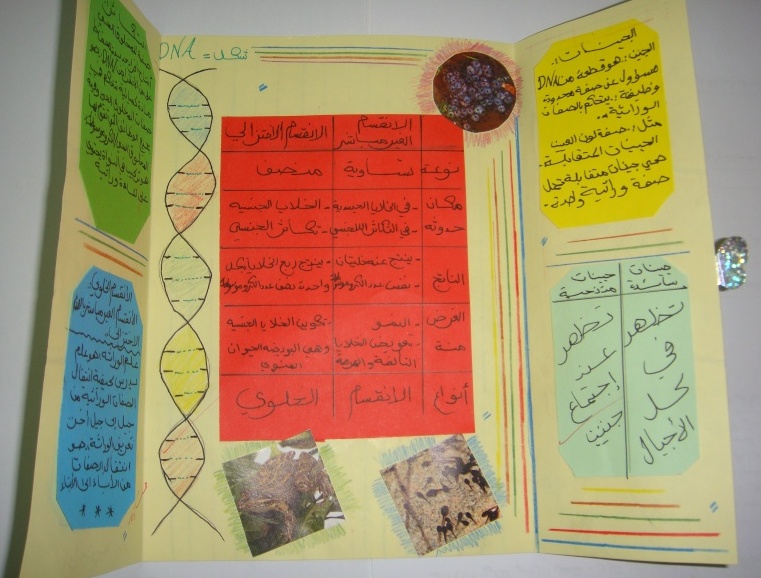اشكال مطويات رياضيات