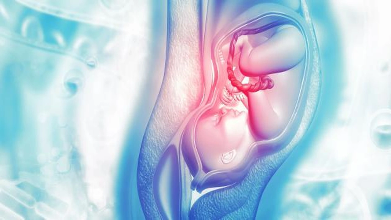 صورة اشياء تساعد على فتح الرحم