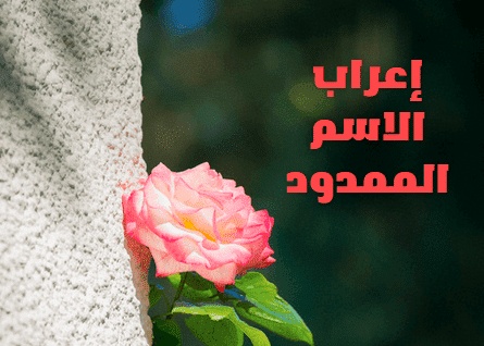 اعراب الاسم الممدود