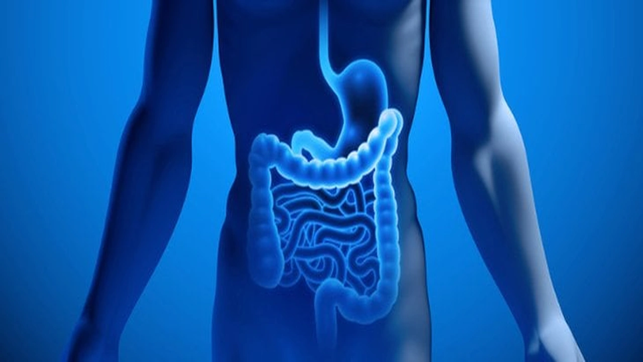 صورة افضل دكتور جهاز هضمي في الرياض