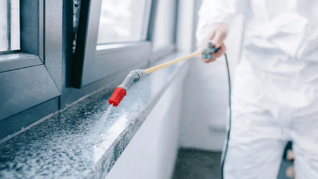 صورة افضل شركة مبيدات حشرية في جدة