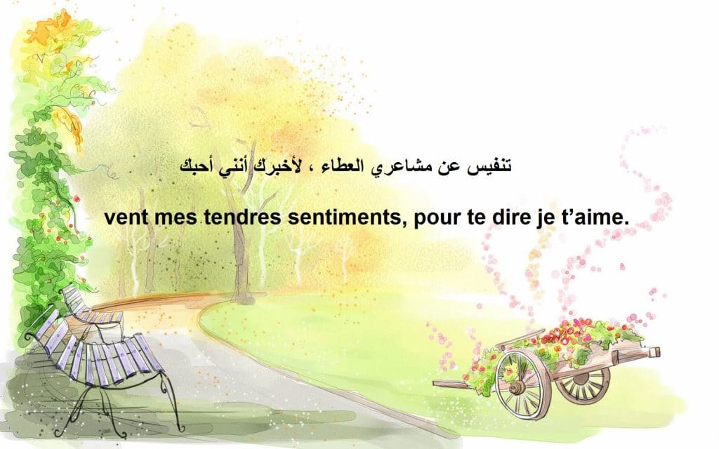 اقتباسات بالفرنسية