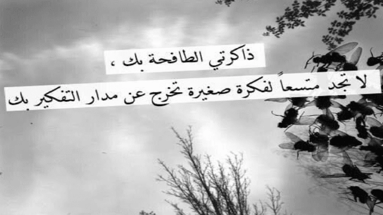 صورة اقوال مأثورة عن الذاكرة