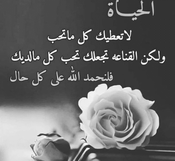 اقوال مأثورة في الدنيا