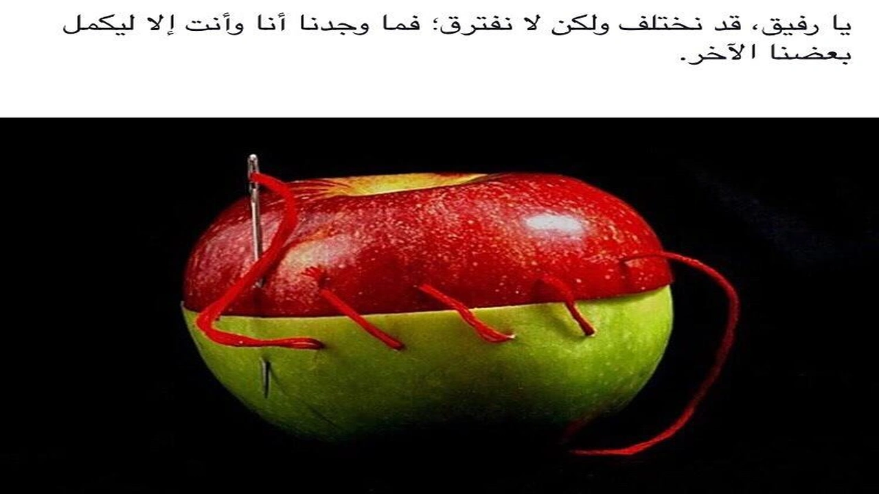 صورة اقوال وحكم عن الاختلاف