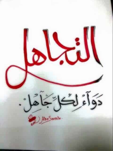 اقوال وحكم عن التجاهل