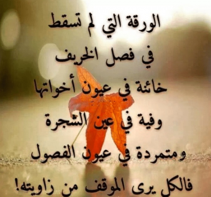 اقوال وحكم عن الشخص النذل