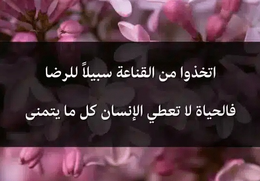 اقوال وحكم عن القناعة