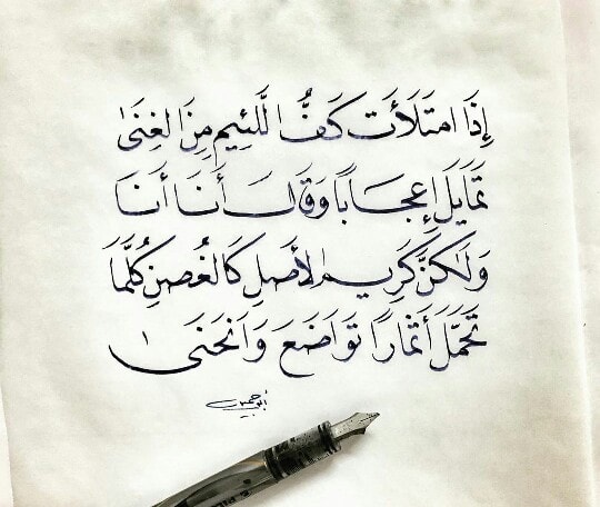 اقوال وحكم عن اللئيم