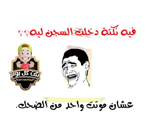 اقوى نكت محششين