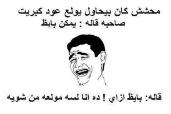 اقوى نكت محششين