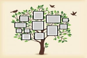 التعرف على شجرة العائلة