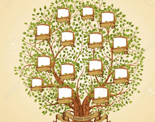 التعرف على شجرة العائلة