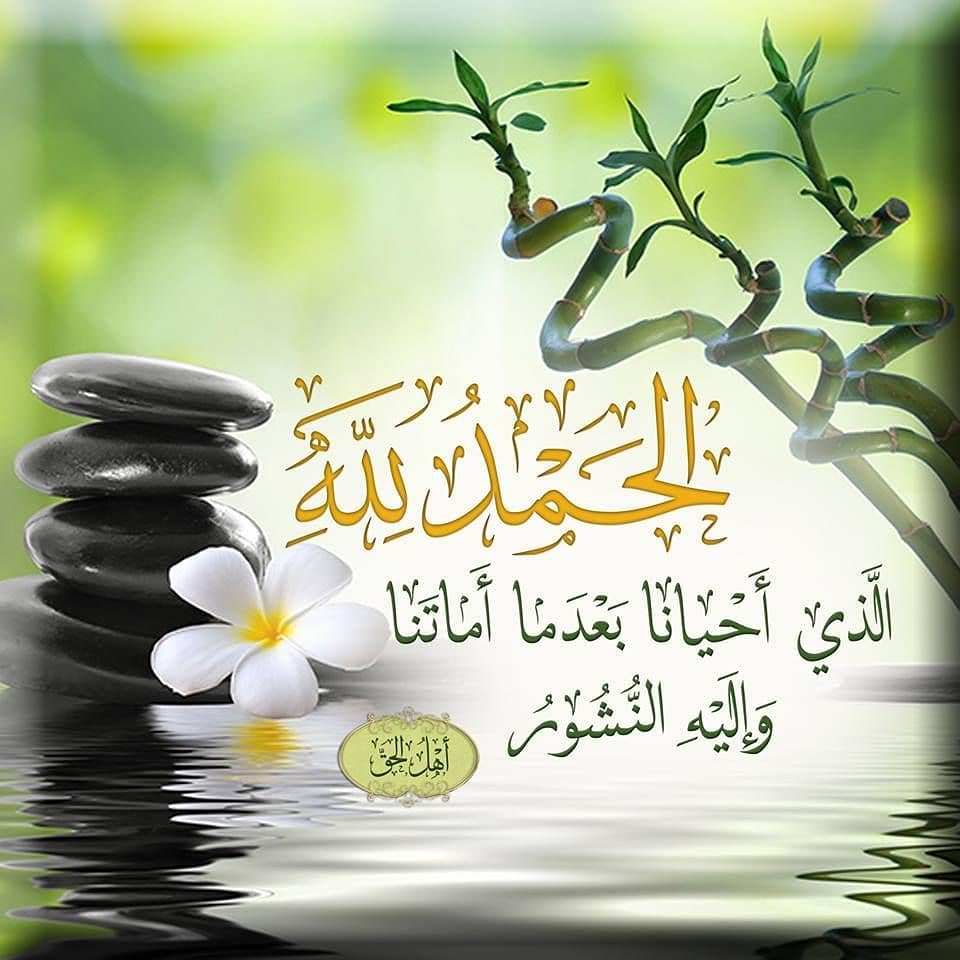 الحمد لله الذي أحيانا بعدما أماتنا وإليه النشور