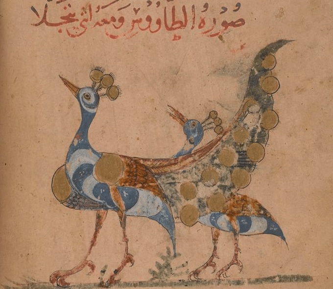 الحيوانات في الشعر الجاهلي