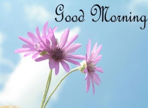 الرد على good morning