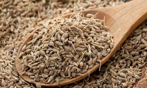 الفرق بين الشمر واليانسون