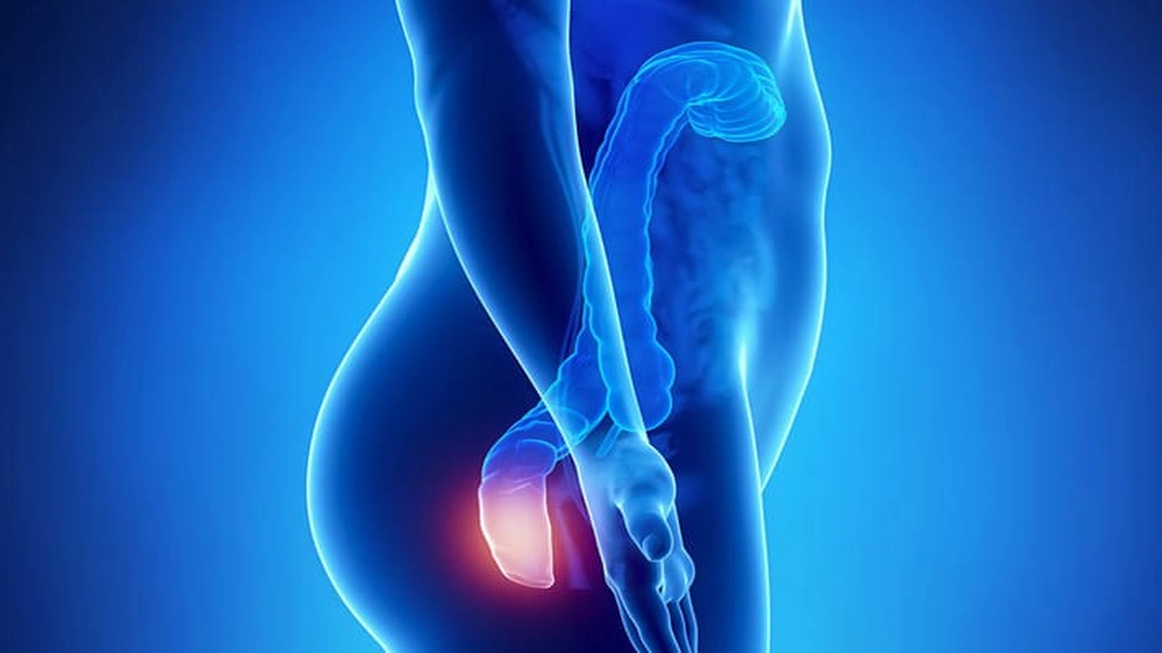 صورة الفرق بين الناسور والبواسير