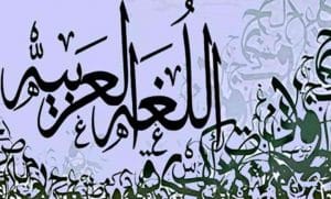 الفرق بين لا النافية ولا الناهية