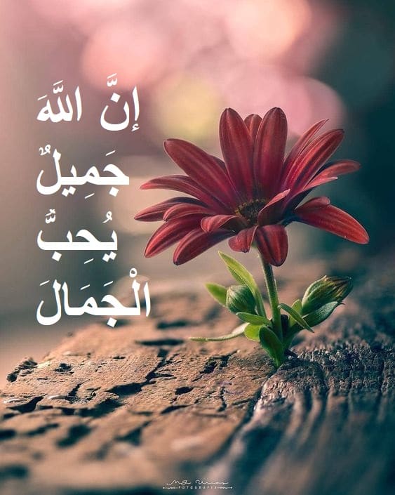 الله جميل يحب الجمال
